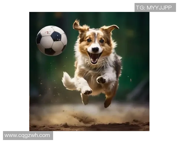 足球明星化身萌宠狗狗,球场风采与可爱并存的创意艺术作品 足球明星化身萌宠狗狗,球场风采与可爱并存的创意艺术作品